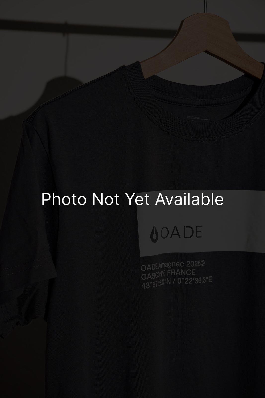 OADE Supima Cotton T-Shirt - Heather Gray