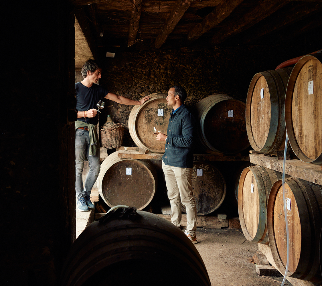 Domaine de Marquestau, an Armagnac estate in Hontanx, France.